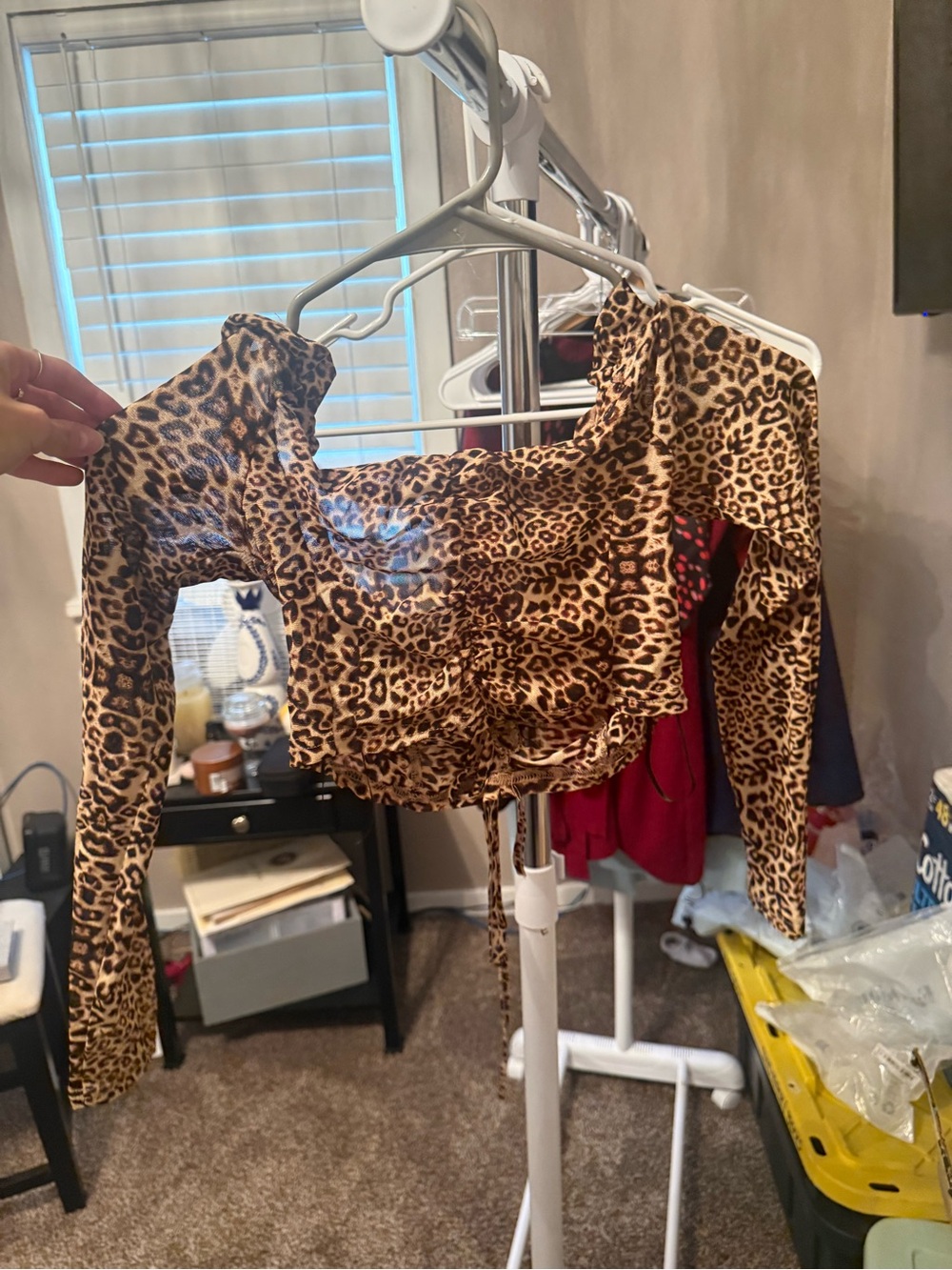 Princess Polly Leopard Ruched Long Sleeve Crop Top
